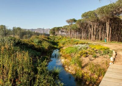 2 Bedroom Property for Sale in Somerset Lakes Western Cape